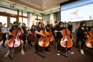 Little Longhorn Cellos 1